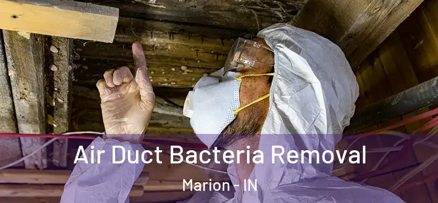 Air Duct Bacteria Removal Marion - IN