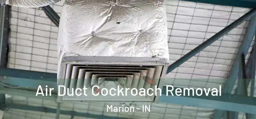  Air Duct Cockroach Removal Marion - IN