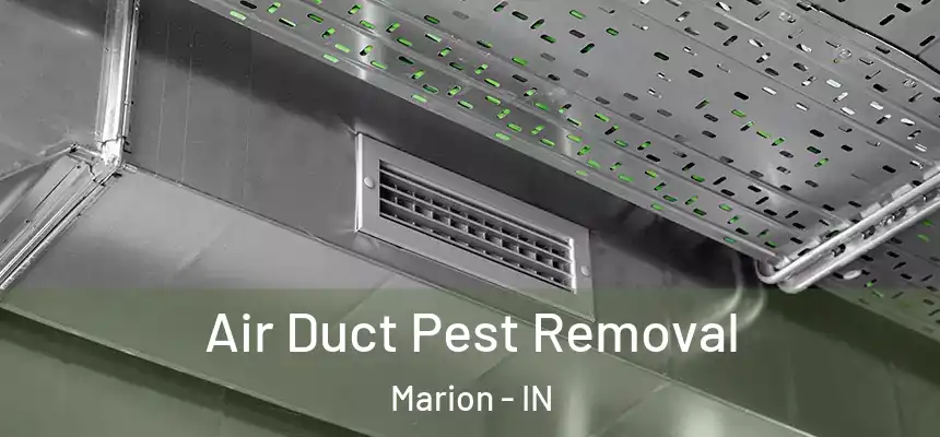  Air Duct Pest Removal Marion - IN