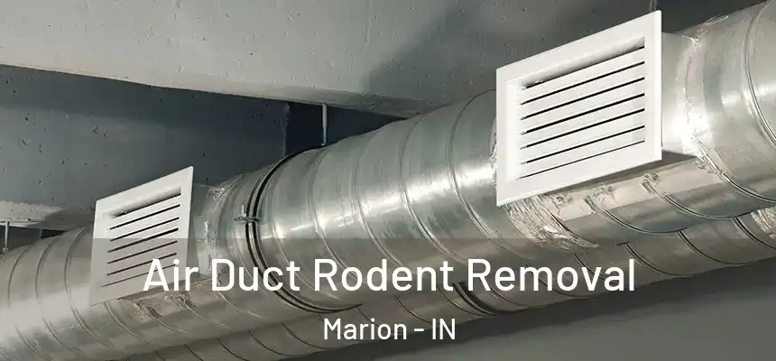 Air Duct Rodent Removal Marion - IN