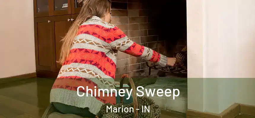Chimney Sweep Marion - IN