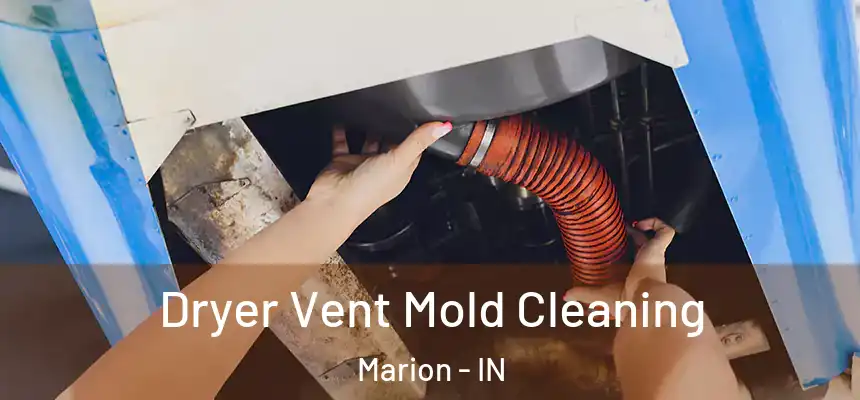  Dryer Vent Mold Cleaning Marion - IN