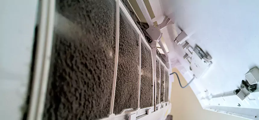 Preventive Air Duct Bacteria Removal in Marion