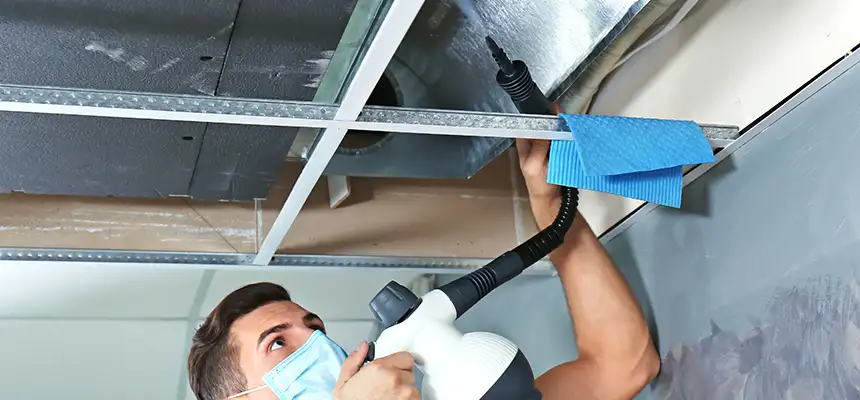 Our Air Duct Rodent Removal Services in Marion, IN