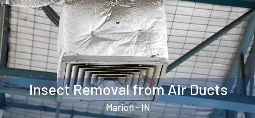 Insect Removal from Air Ducts Marion - IN