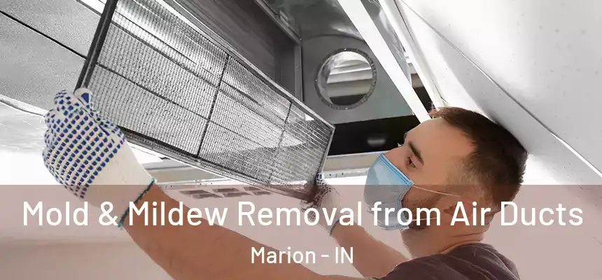  Mold & Mildew Removal from Air Ducts Marion - IN