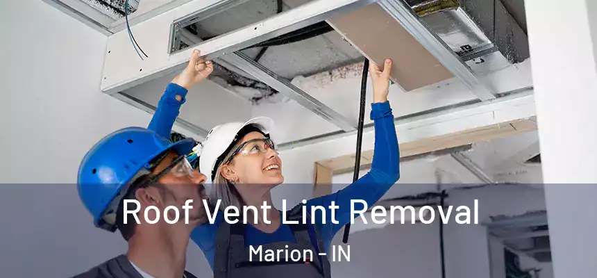  Roof Vent Lint Removal Marion - IN