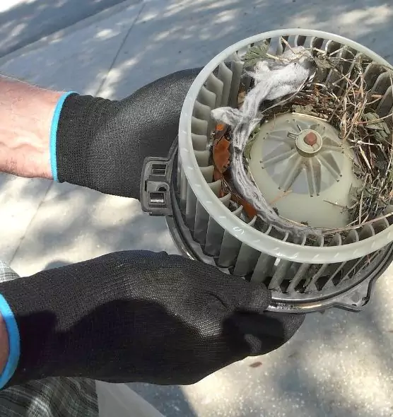 About Air Duct Mice Removal in Marion, IN