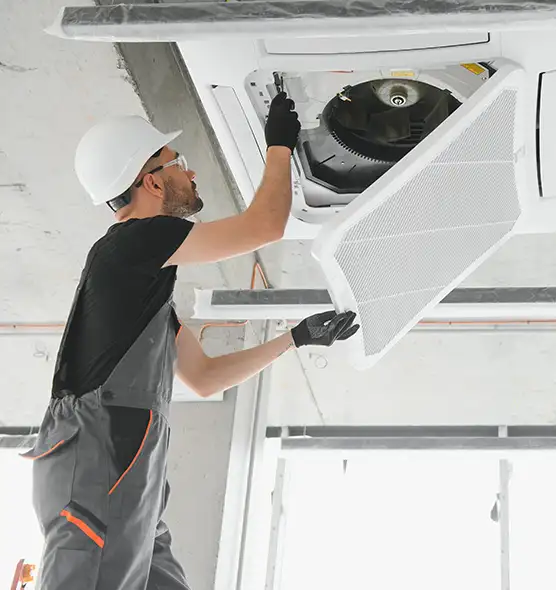 About Air Duct Rodent Removal in Marion, IN