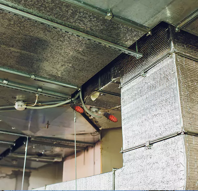 Why Homeowners & Businesses Trust Us in Marion, IN?