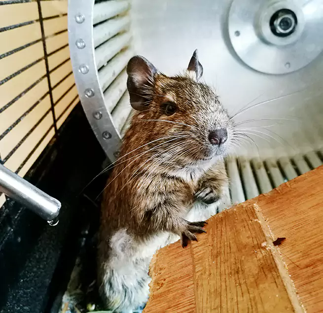 Why Homeowners & Businesses Trust Us Marion, IN?